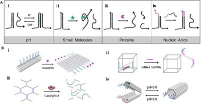 Endogenous Stimuli-Responsive DNA Nanostructures Toward Cancer Theranostics